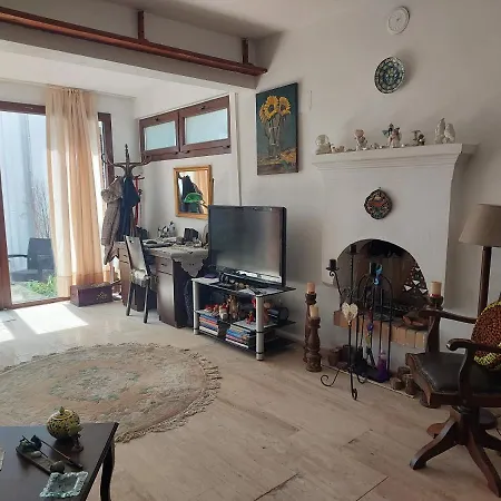 Merkez Bahceli, Avlulu Ev Bodrum