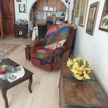 Merkez Bahceli, Avlulu Ev Holiday home Bodrum