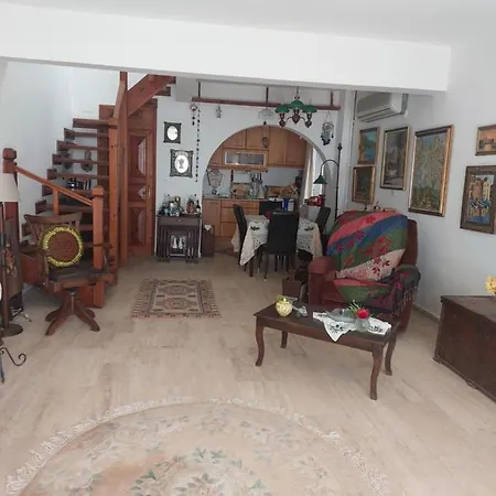 Merkez Bahceli, Avlulu Ev Holiday home *