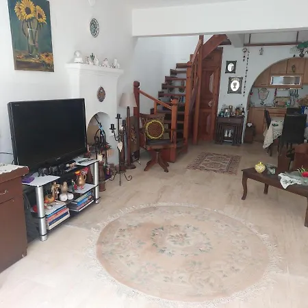 Merkez Bahceli, Avlulu Ev Bodrum