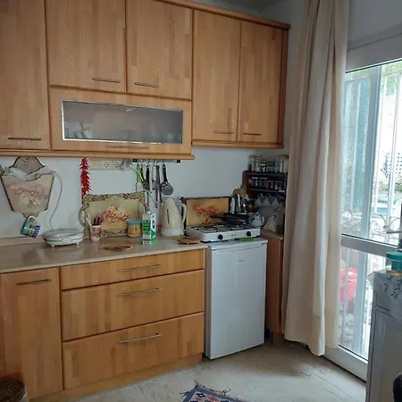Merkez Bahceli, Avlulu Ev Holiday home