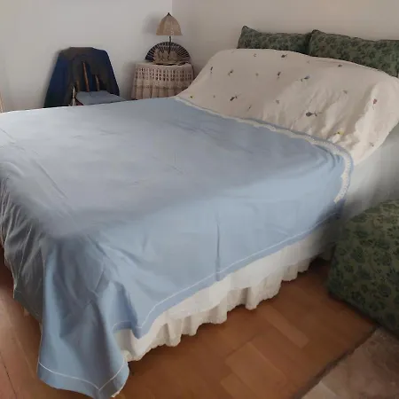 Merkez Bahceli, Avlulu Ev Holiday home Bodrum